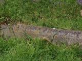 image of grave number 636316